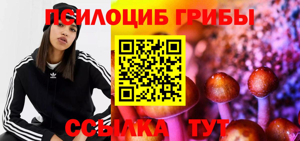 Касимов  Псилоцибиновые грибы Magic Shrooms  Вход с VPN 